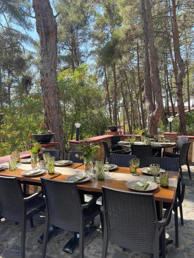 Semiramis Lodge Platres Luaran gambar