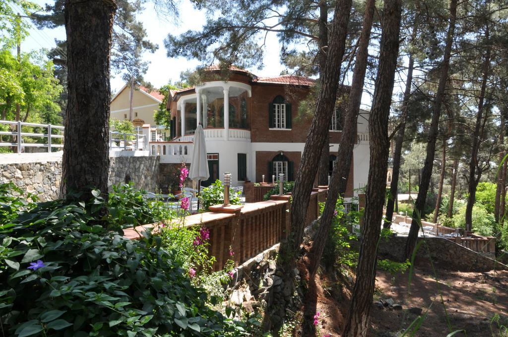 Semiramis Lodge Platres Luaran gambar